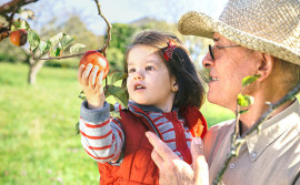 Gesunde Ernährung im Alter