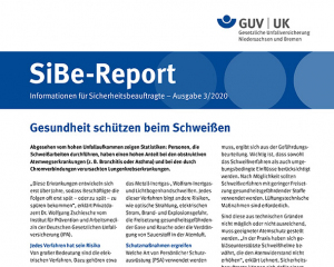 Grafik vom SiBe Report