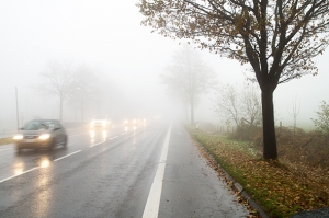 Schlechte Sicht im Straßenverkehr Schlechte Sicht im Straßenverkehr