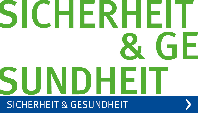 Schriftzug für das Handlungsfeld Sicherheit und Gesundheit